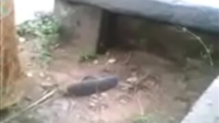 Video Panas Istri Nakal Dan Kekasihnya Di Alam Terbuka